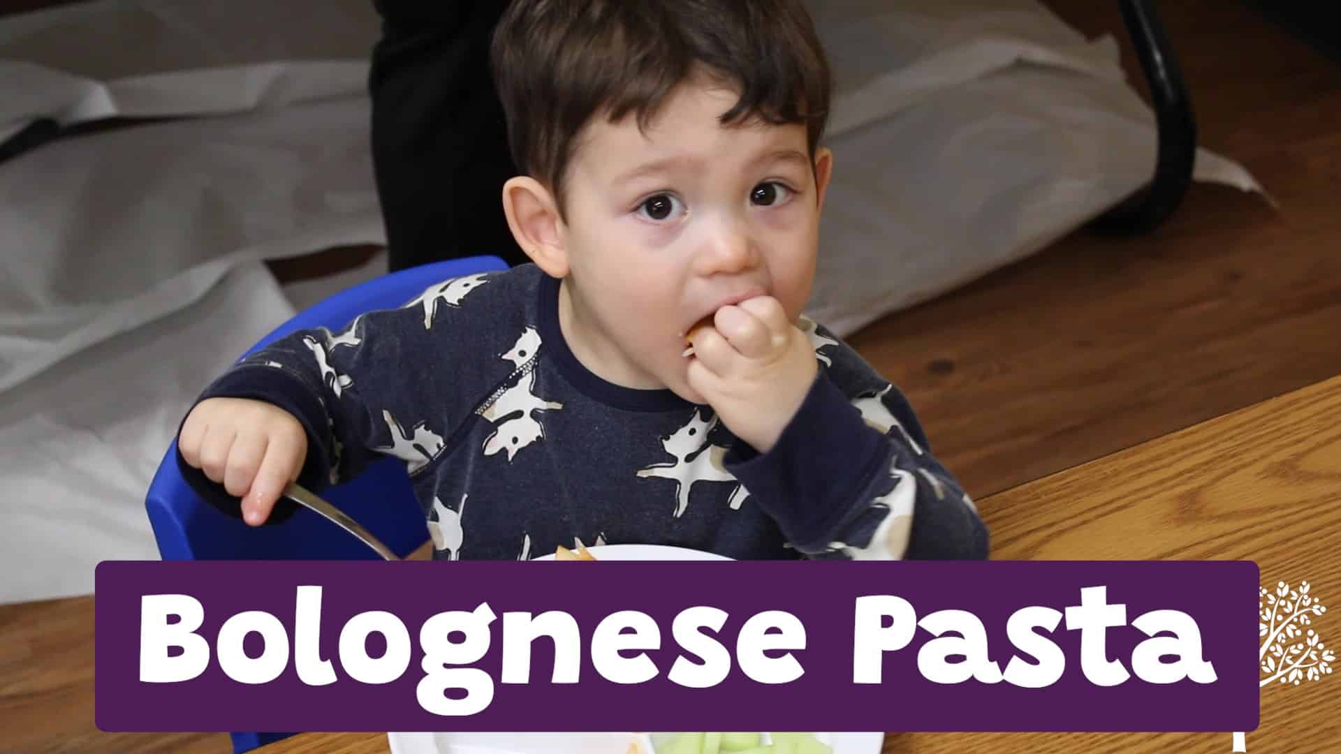 Bolognese Recipe Tierra Encantada